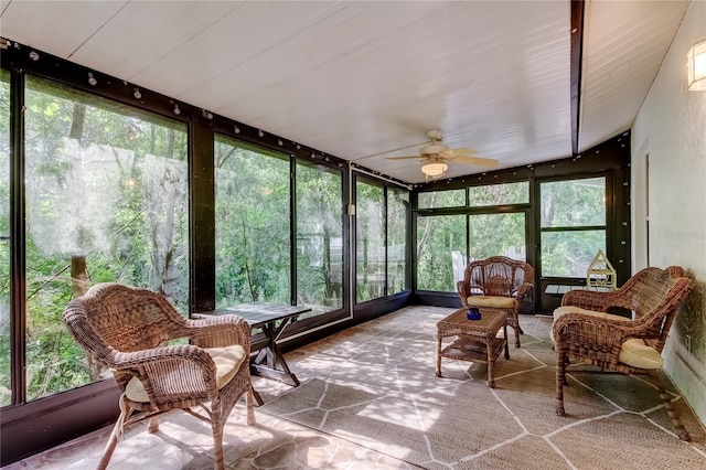 17631 Grove View Dr, Lutz, FL 33549 - sunroom / solarium with a ceiling fan