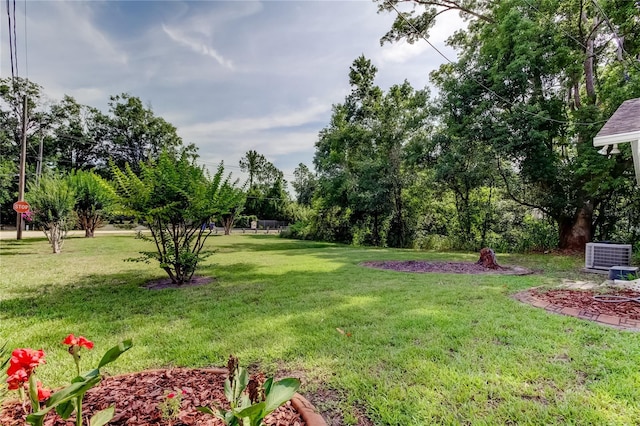 17631 Grove View Dr, Lutz, FL 33549 - view of grassy yard