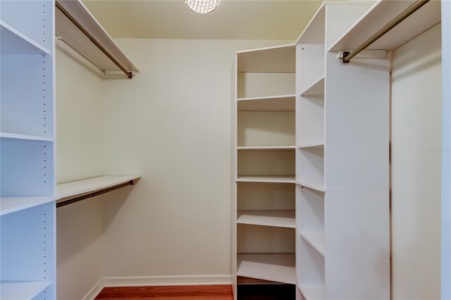 17631 Grove View Dr, Lutz, FL 33549 - spacious closet with wood finished floors