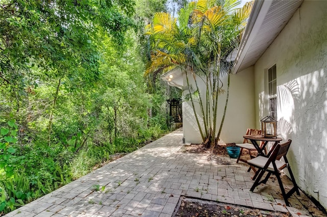 17631 Grove View Dr, Lutz, FL 33549 - view of patio / terrace