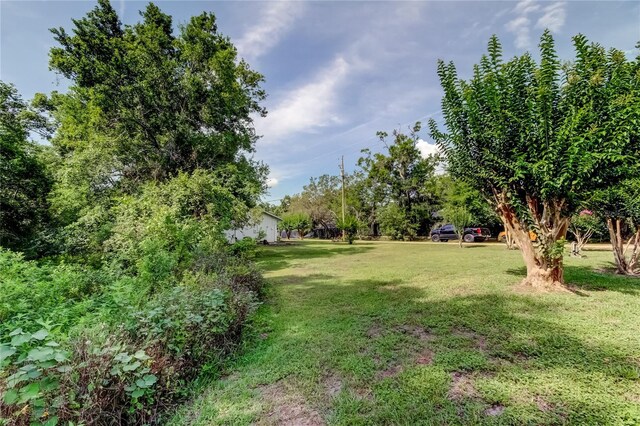 17631 Grove View Dr, Lutz, FL 33549 - view of grassy yard