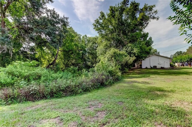 17631 Grove View Dr, Lutz, FL 33549 - view of green lawn