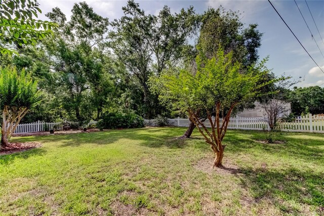 17631 Grove View Dr, Lutz, FL 33549 - view of fenced backyard