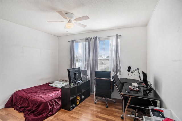 7641 Armonk Ln, Wesley Chapel, FL 33545 - home office featuring wood finished floors and ceiling fan