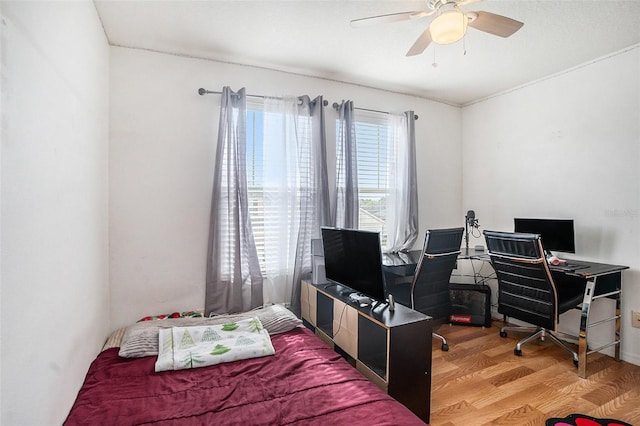 7641 Armonk Ln, Wesley Chapel, FL 33545 - bedroom with wood finished floors, an office area, and a ceiling fan