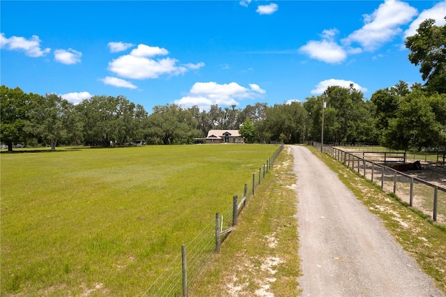 31949 Amberlea Rd, Dade City, FL 33523 - photo 3