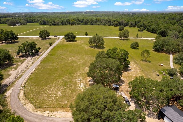 31949 Amberlea Rd, Dade City, FL 33523 - photo 9