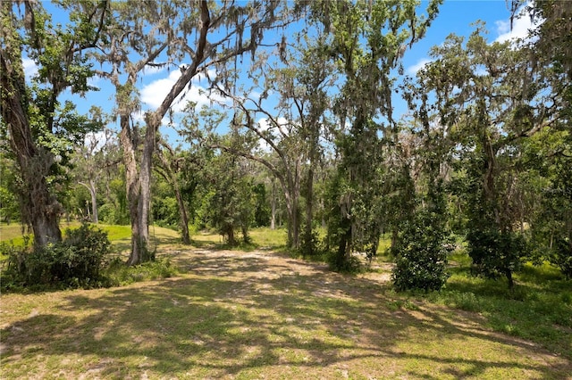 31949 Amberlea Rd, Dade City, FL 33523 - photo 13