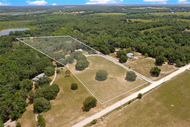 31949 Amberlea Rd, Dade City, FL 33523 - photo 95