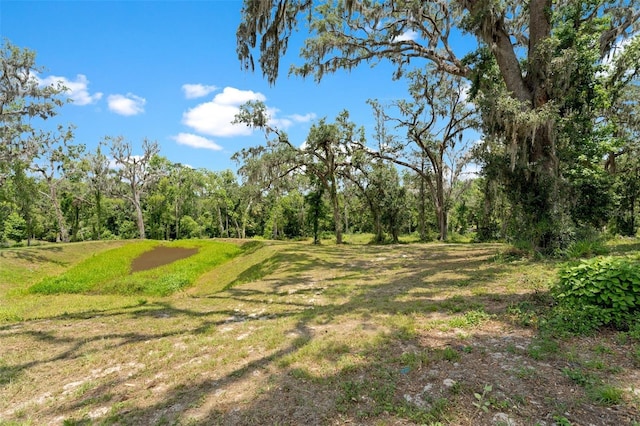 31949 Amberlea Rd, Dade City, FL 33523 - photo 14