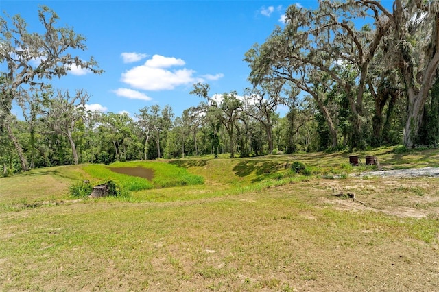 31949 Amberlea Rd, Dade City, FL 33523 - photo 15