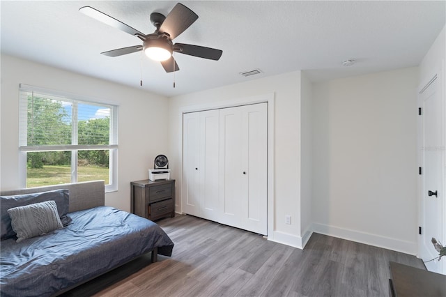 31949 Amberlea Rd, Dade City, FL 33523 - photo 34