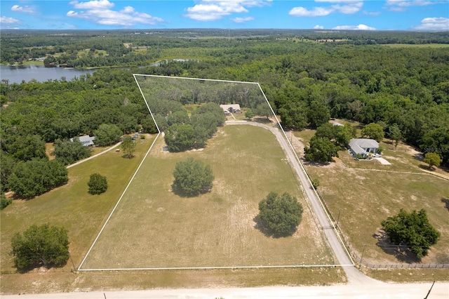 31949 Amberlea Rd, Dade City, FL 33523 - photo 91