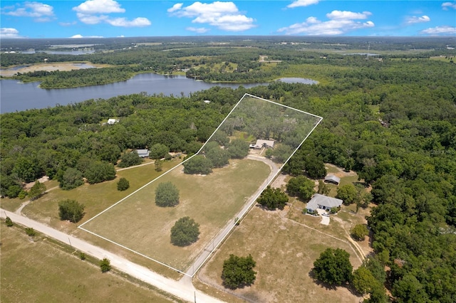 31949 Amberlea Rd, Dade City, FL 33523 - photo 93