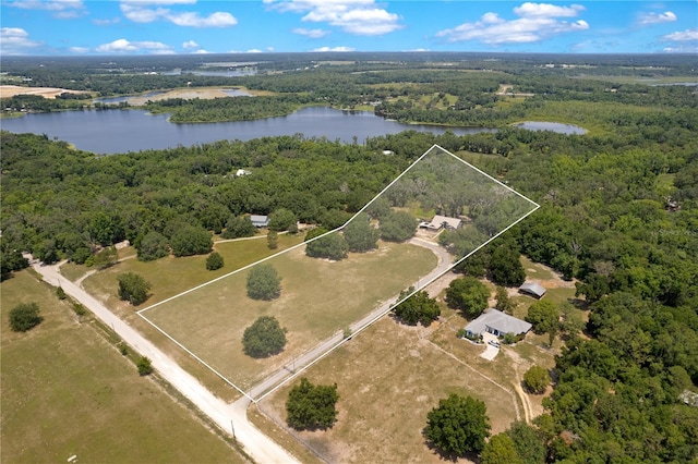 31949 Amberlea Rd, Dade City, FL 33523 - photo 94