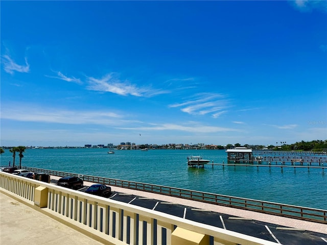 100 Bluff View Dr Unit 114C, Belleair Bluffs, FL 33770 - water view