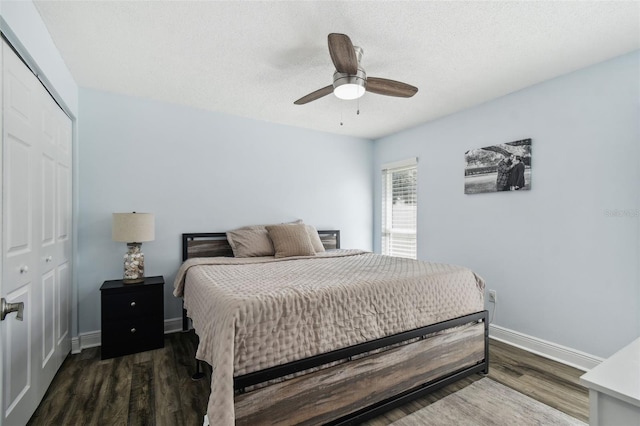 3628 Dellefield St, New Port Richey, FL 34655 - bedroom with a closet, wood finished floors, baseboards, and a textured ceiling