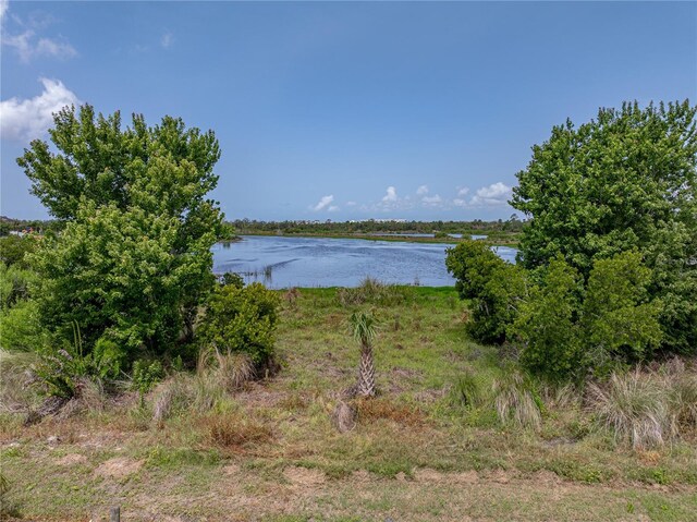 1701 Bonita Bluff Ct, Ruskin, FL 33570 - photo 66