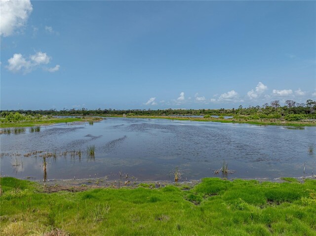 1701 Bonita Bluff Ct, Ruskin, FL 33570 - photo 67