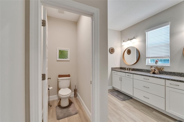7116 Estero Ct, Apollo Beach, FL 33572 - bathroom with vanity and wood finished floors