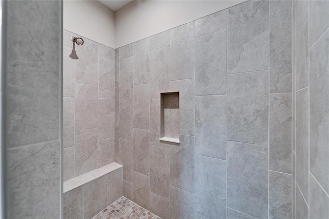 7116 Estero Ct, Apollo Beach, FL 33572 - bathroom with a tile shower