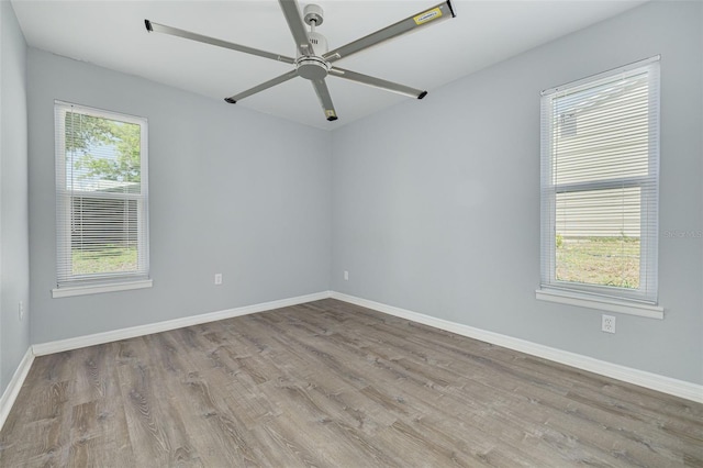 2770 Steeple Ct, Palm Harbor, FL 34684 - photo 14