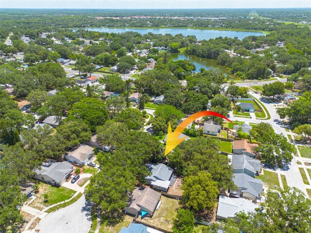 2770 Steeple Ct, Palm Harbor, FL 34684 - photo 22
