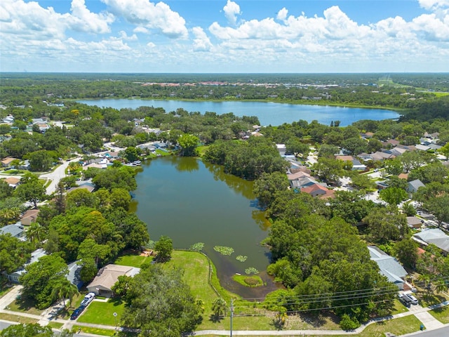 2770 Steeple Ct, Palm Harbor, FL 34684 - photo 23