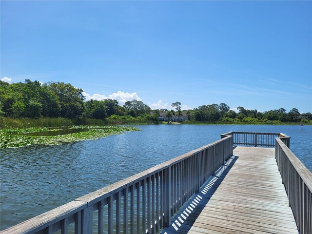 2770 Steeple Ct, Palm Harbor, FL 34684 - photo 28