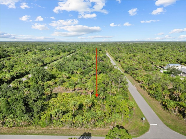 14114 Carney Ave, Port Charlotte, FL 33953