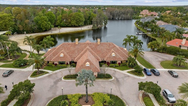 10880 Cory Lake Dr, Tampa, FL 33647 - photo 55