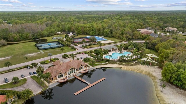 10880 Cory Lake Dr, Tampa, FL 33647 - photo 56