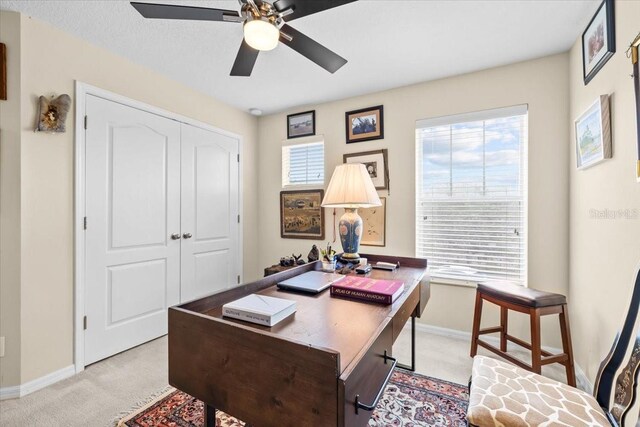 6934 Duffy Ln, Tampa, FL 33616 - photo 27