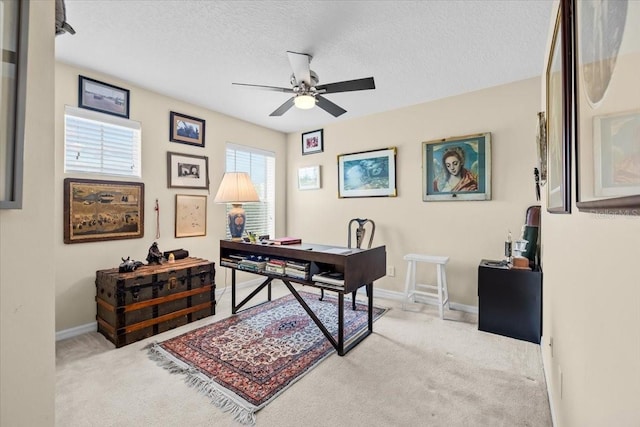 6934 Duffy Ln, Tampa, FL 33616 - photo 28