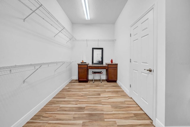 32624 Summerglade Dr, Wesley Chapel, FL 33545 - spacious closet with light wood-style flooring
