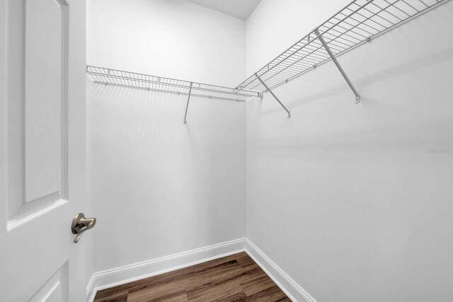 32624 Summerglade Dr, Wesley Chapel, FL 33545 - walk in closet with dark wood-type flooring