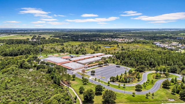 32624 Summerglade Dr, Wesley Chapel, FL 33545 - bird's eye view of a forest