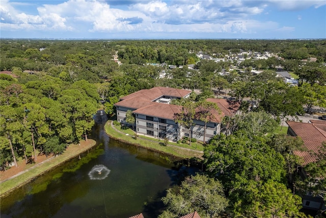 2650 Countryside Blvd Unit C204, Clearwater, FL 33761 - bird's eye view of a large body of water and a heavily wooded area