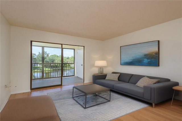 2650 Countryside Blvd Unit C204, Clearwater, FL 33761 - living area with wood finished floors