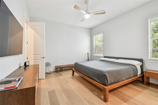 238 7th Ave S, Safety Harbor, FL 34695 - bedroom featuring light wood finished floors, multiple windows, and a ceiling fan