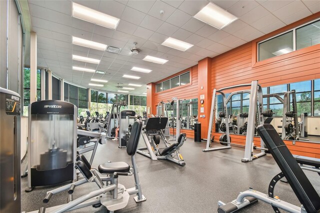 238 7th Ave S, Safety Harbor, FL 34695 - exercise room with healthy amount of natural light and wood walls