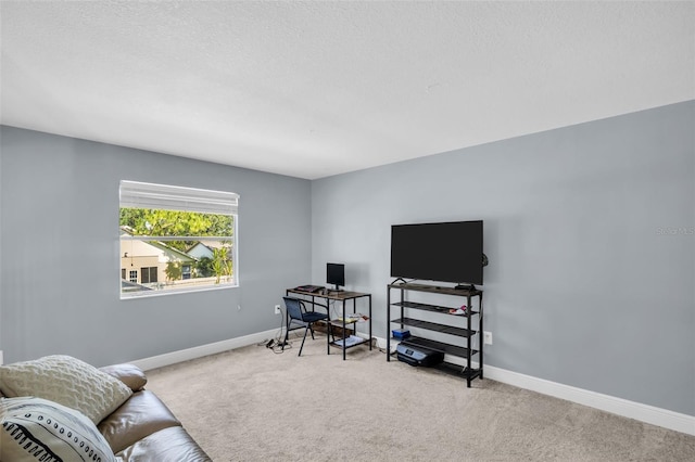 1715 Larabie Ct, Brandon, FL 33511 - office area with carpet and baseboards