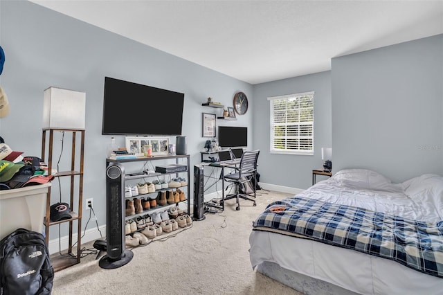 1715 Larabie Ct, Brandon, FL 33511 - carpeted bedroom with baseboards