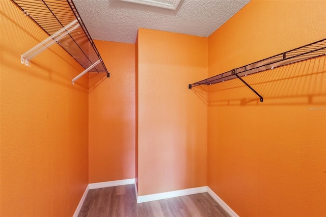 7470 Canterbury St, Spring Hill, FL 34606 - walk in closet with wood finished floors