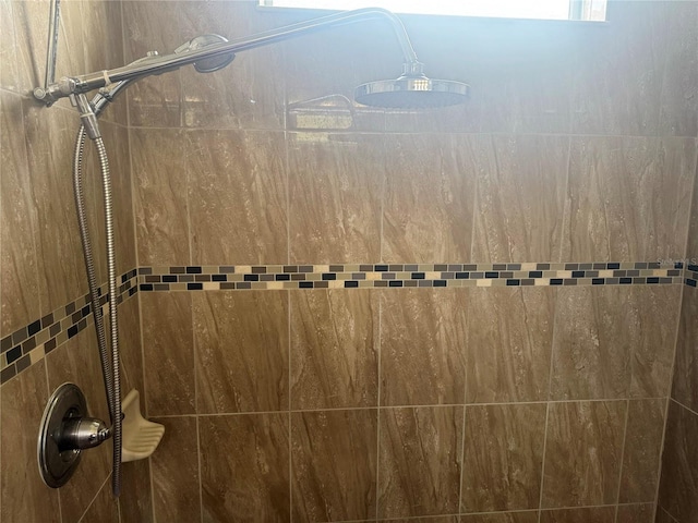 5082 Inshore Landings Dr, Apollo Beach, FL 33572 - bathroom view of tiled shower