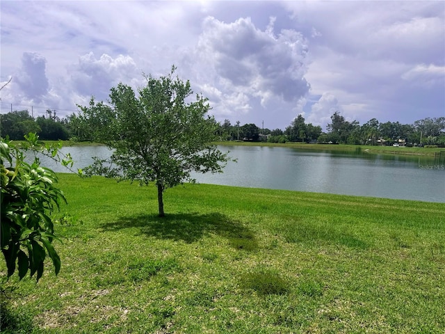 5082 Inshore Landings Dr, Apollo Beach, FL 33572 - water view