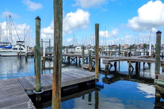 5082 Inshore Landings Dr, Apollo Beach, FL 33572 - dock area with a water view and view of marina