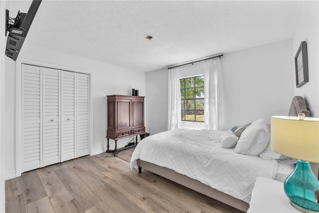 832 Birdie Way, Apollo Beach, FL 33572 - bedroom with light wood-style floors, a closet, and a textured ceiling