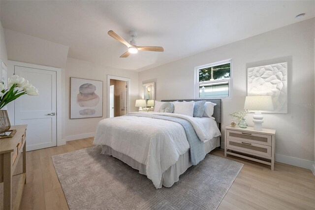 243 45th Ave NE, Saint Petersburg, FL 33703 - photo 31