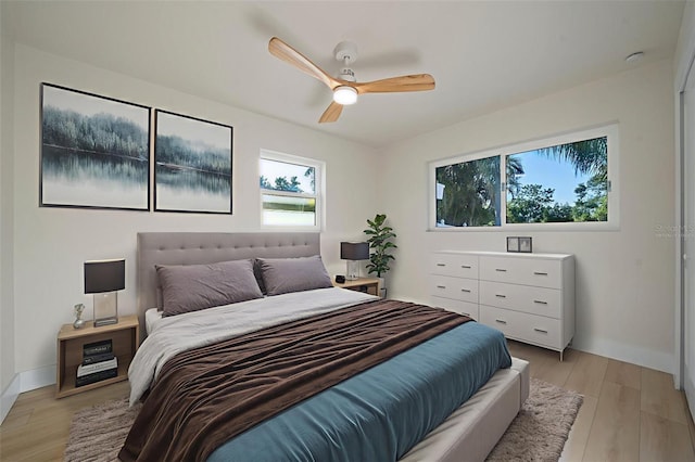 243 45th Ave NE, Saint Petersburg, FL 33703 - photo 42